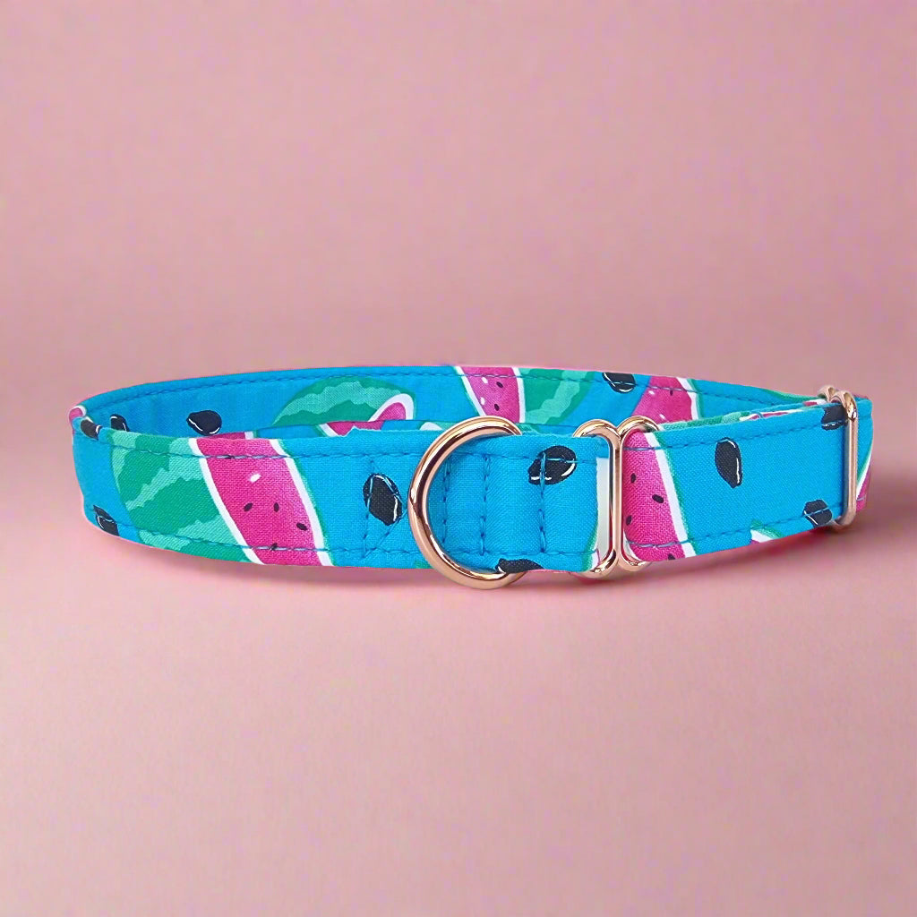 House Collar