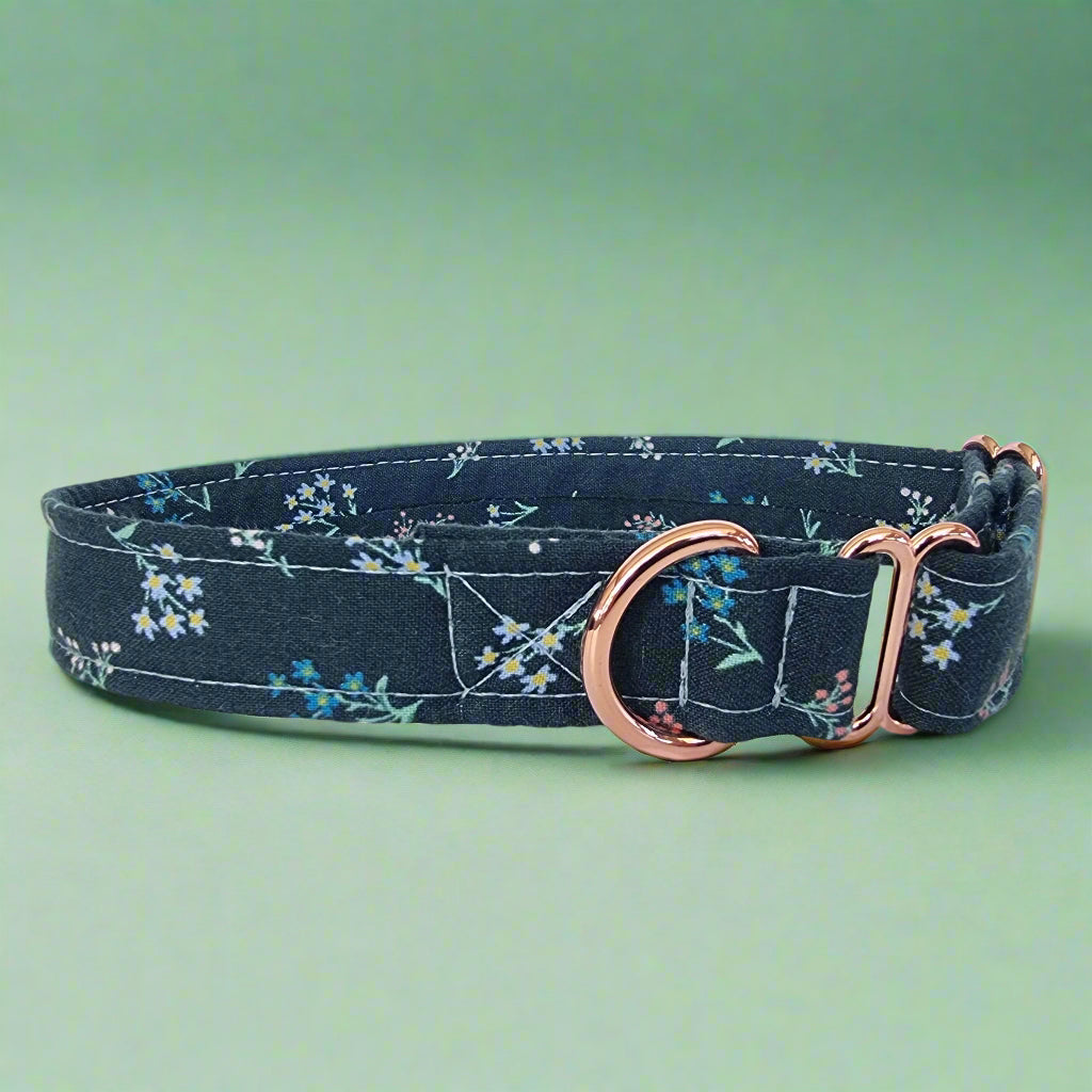 House Collar