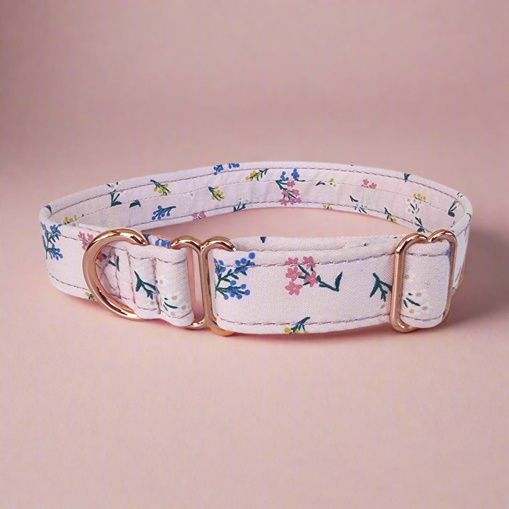 House Collar
