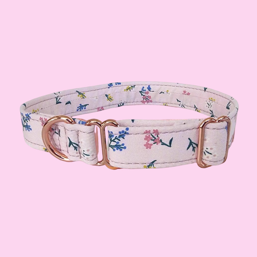 House Collar