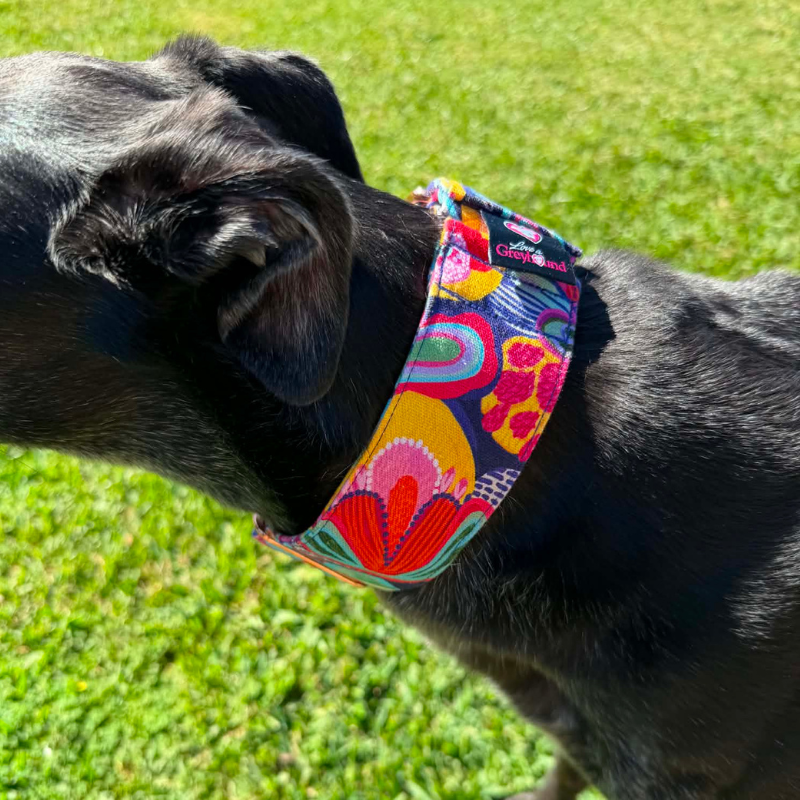 Wild Prism Martingale Greyhound 2 Inch Collar