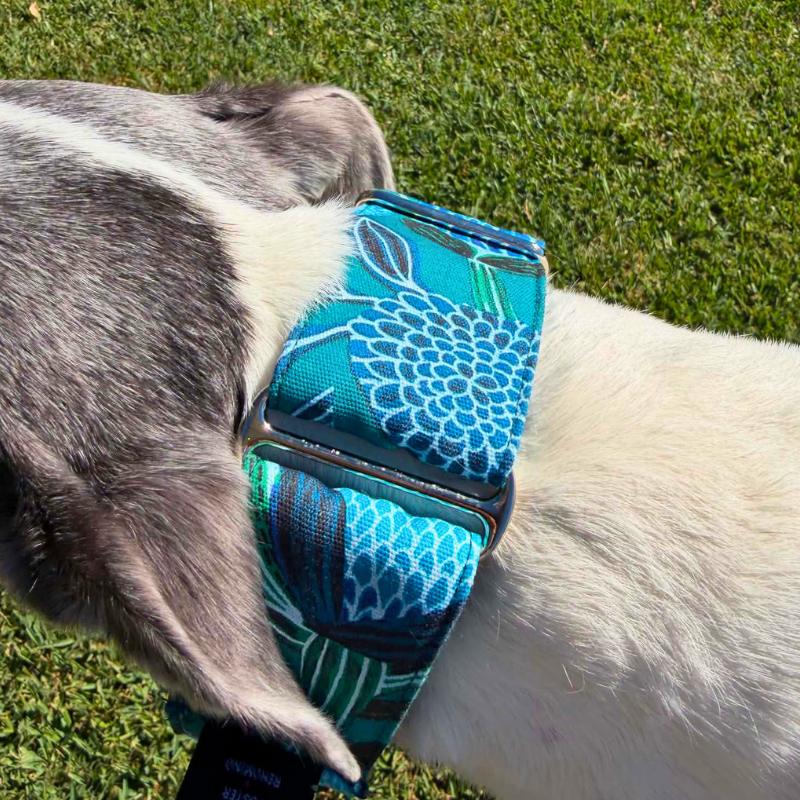 Ocean Bloom Martingale Greyhound 2 Inch Collar