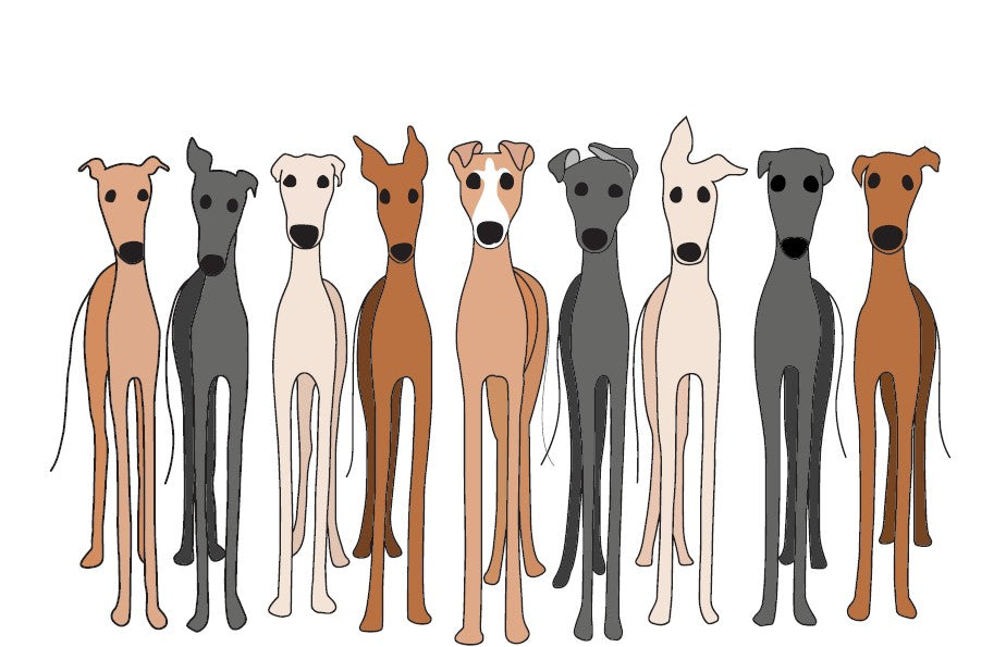AS Colour Youth Staple Kids T-Shirt (8 to 16 years) Cute Greyhounds