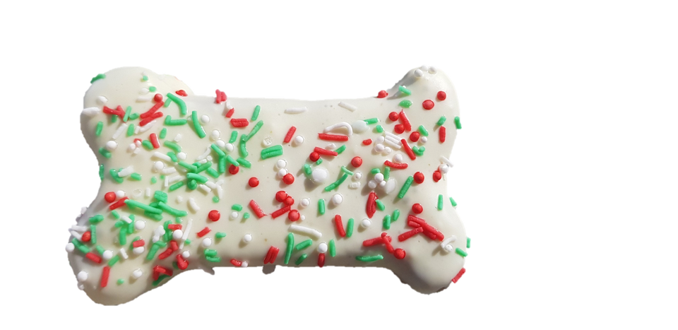 Christmas Super Sparkle Bone Dog Treat