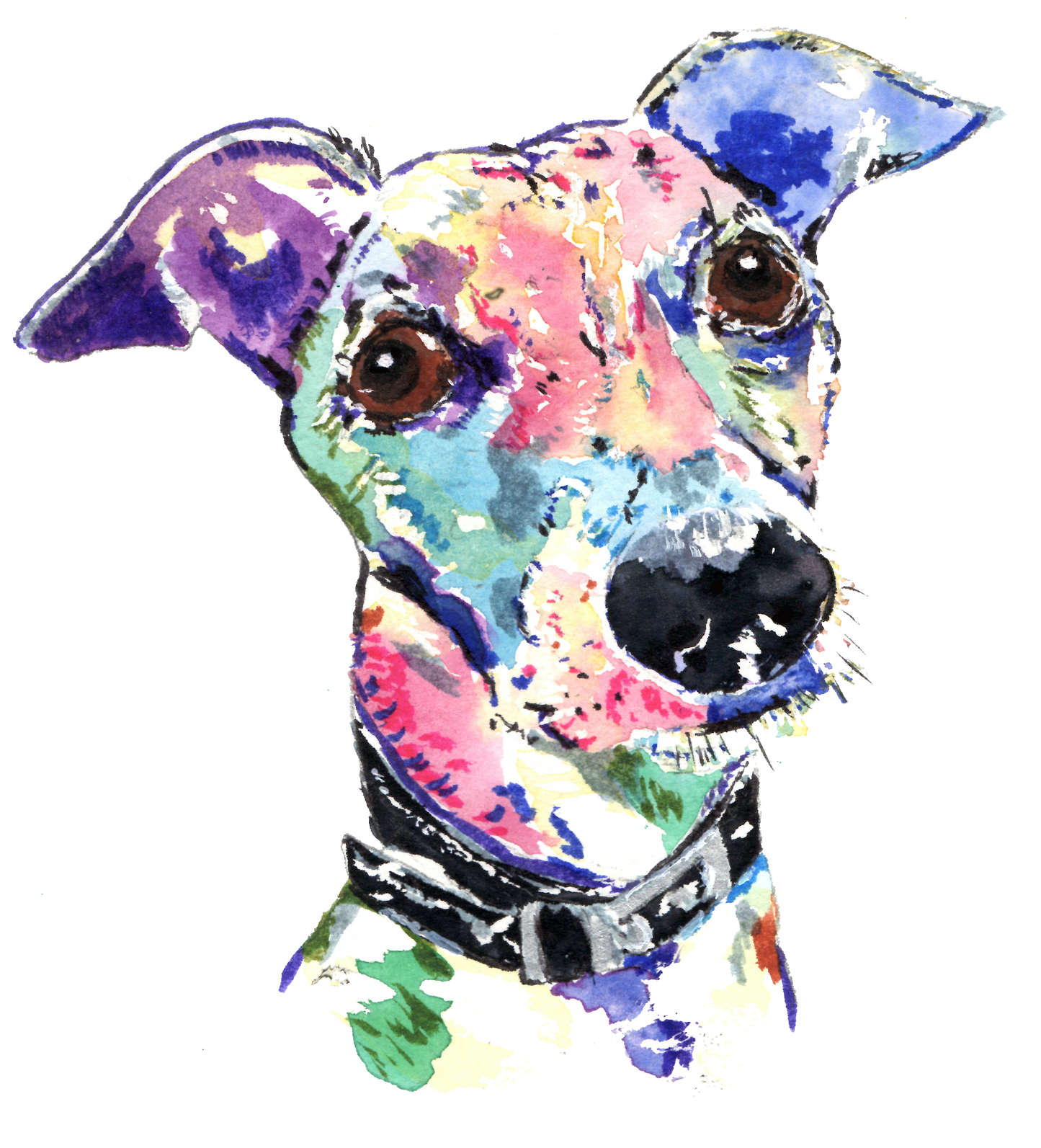 AS Colour Maple Ladies Painted Greyhound