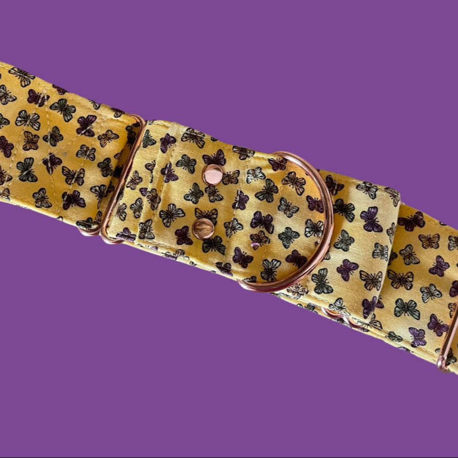 Butterfly Martingale Collar