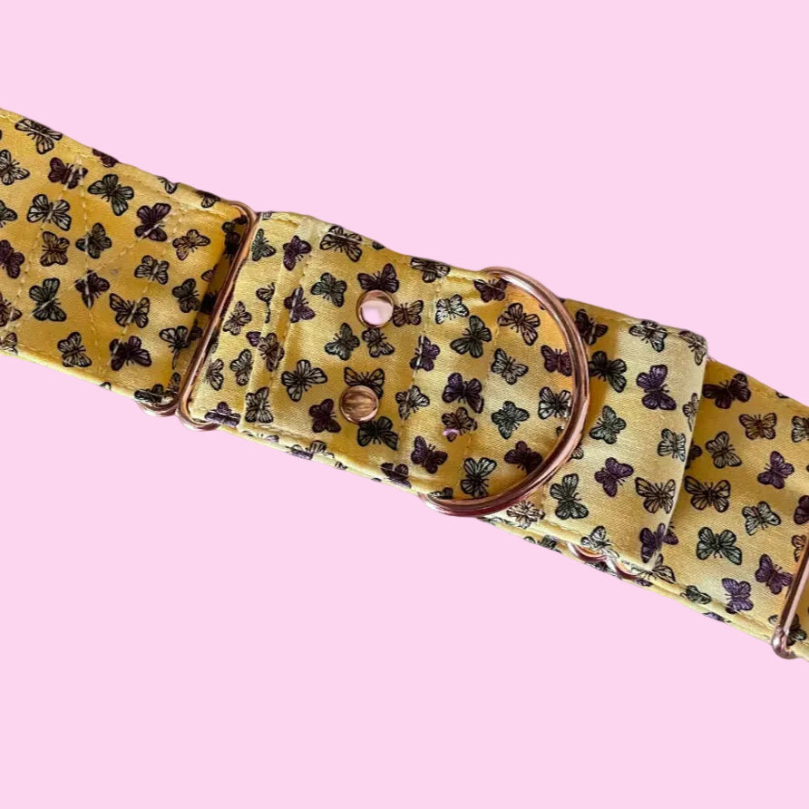 Butterfly Martingale Collar