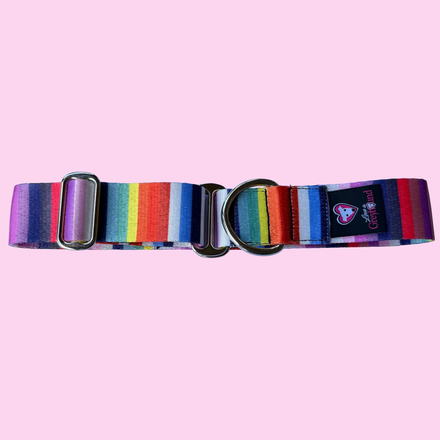 Rainbow Stripe Martingale Greyhound 1.5 Inch Collar