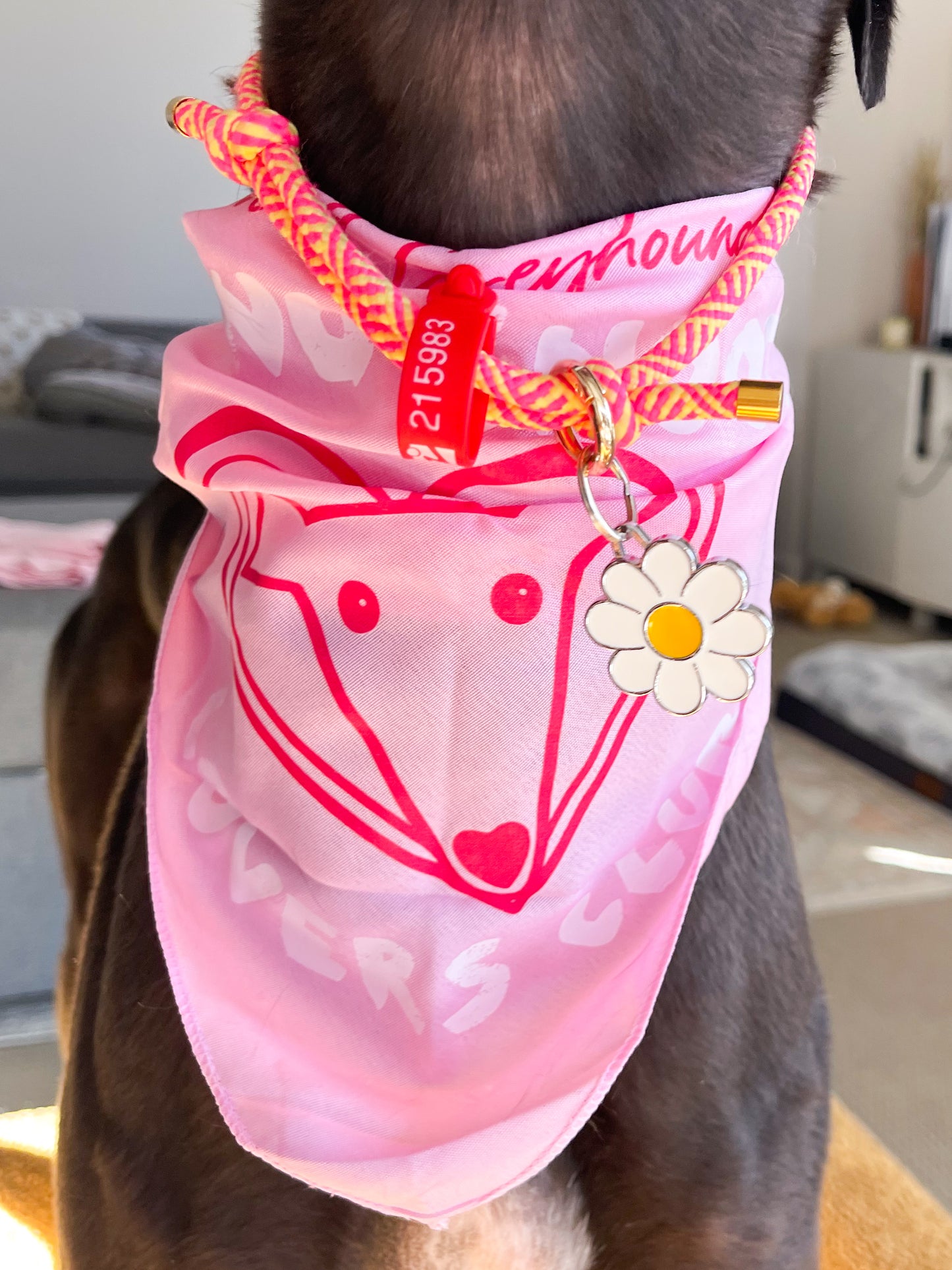 Long Snoot Lovers Club Bandana & Mug Set