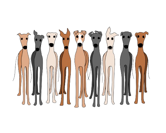 AS Colour Maple Ladies Cute Greys