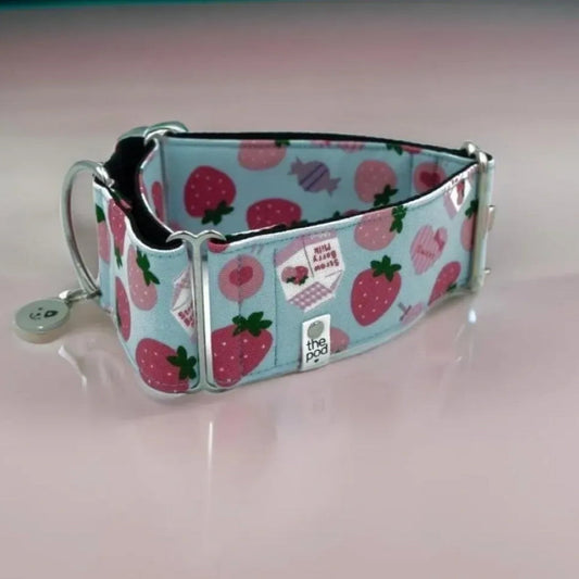 Strawberry Milk Sky Blue Martingale Collar