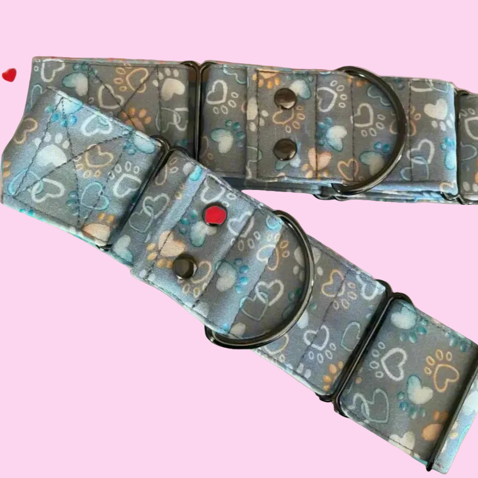 Paws & Hearts Martingale Collar