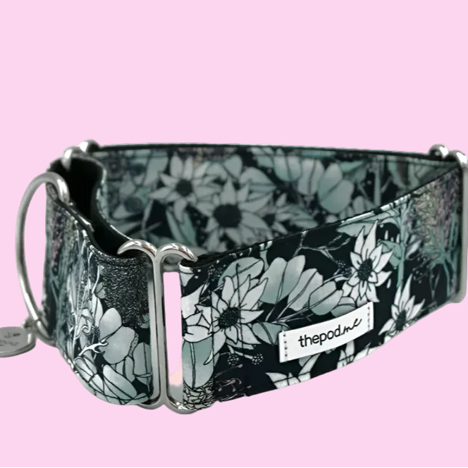 Midnight Fields Martingale Collar