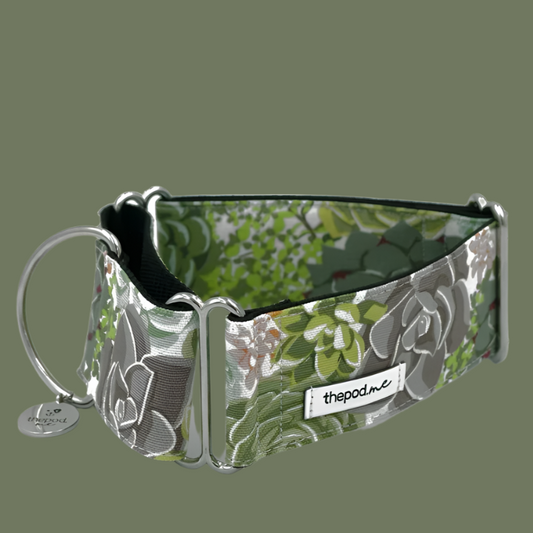 Succulent Martingale Collar