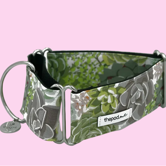 Succulent Martingale Collar