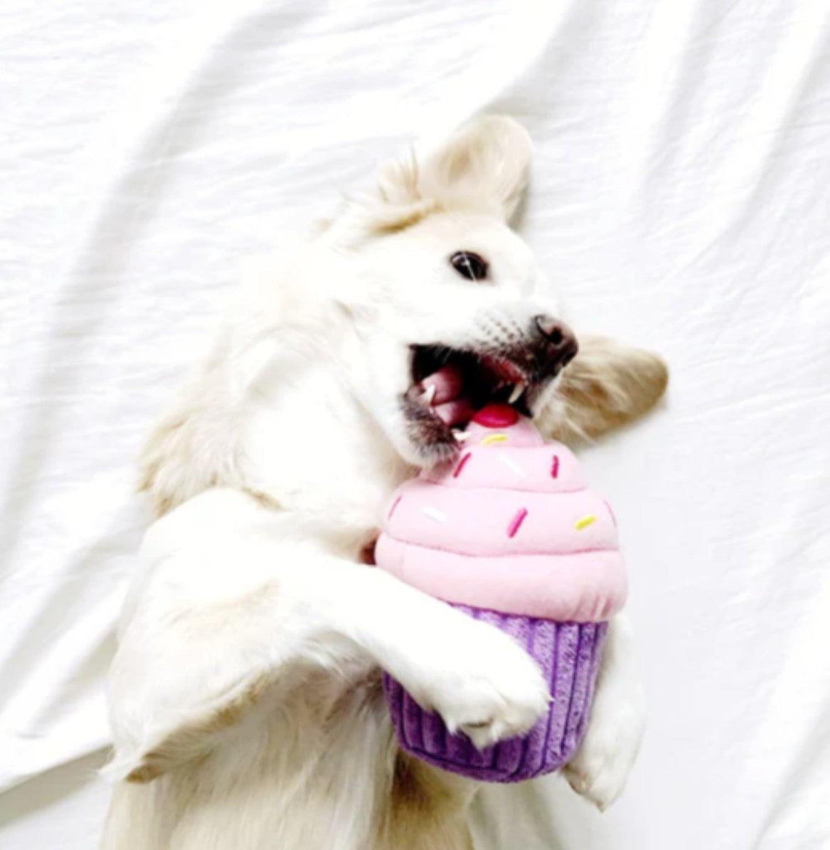 Zippy Paws Cupcake Toy