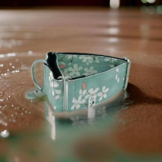 Sky Blue Sakura (Japanese Texture) Martingale Collar