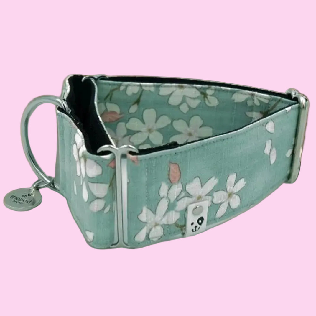 Sky Blue Sakura (Japanese Texture) Martingale Collar