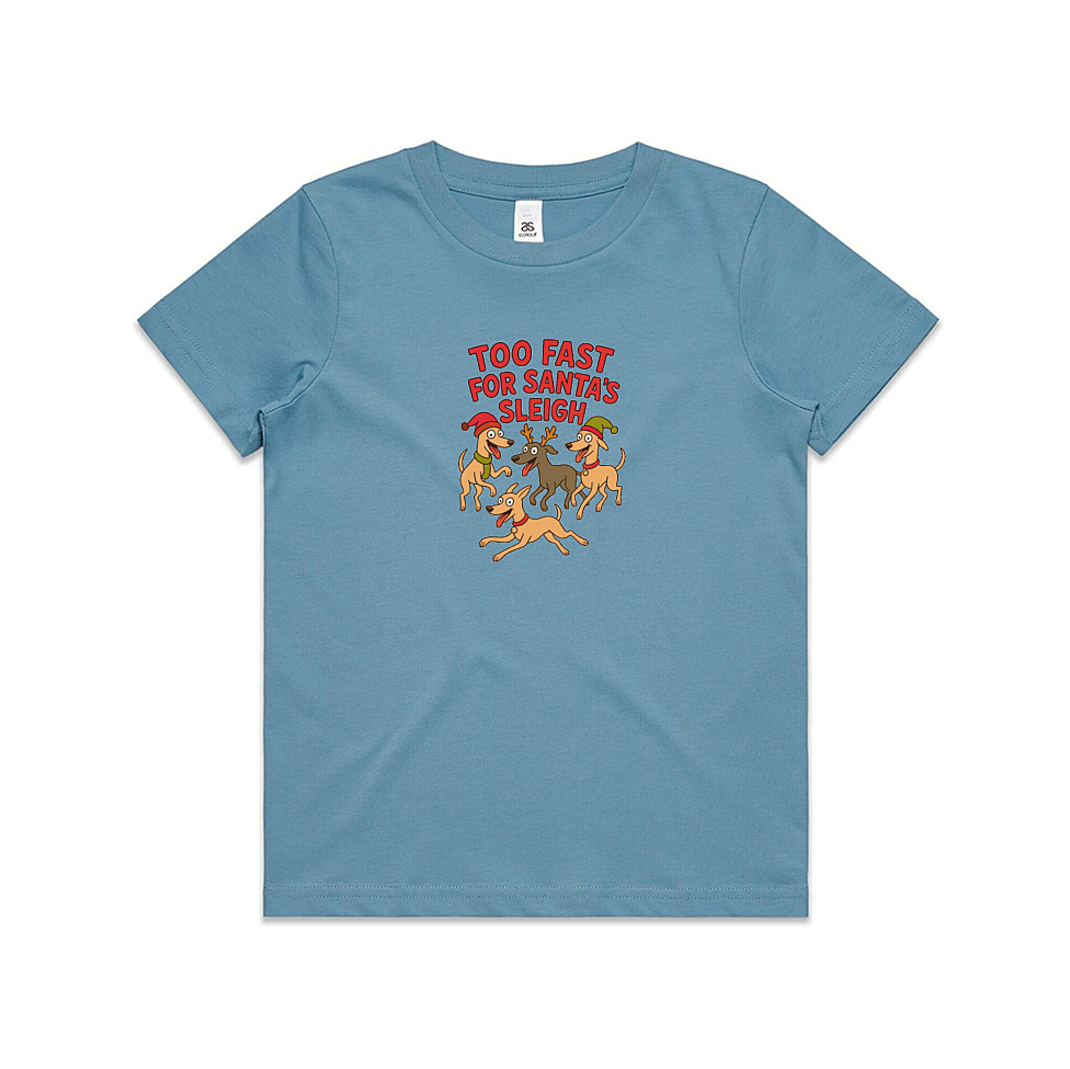 AS Colour Staple Kids T-Shirt Too Fast For Santa's Sleigh