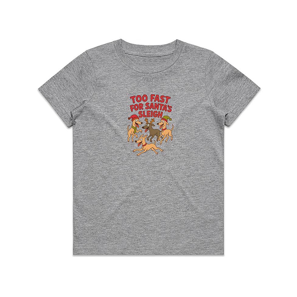 AS Colour Staple Kids T-Shirt Too Fast For Santa's Sleigh