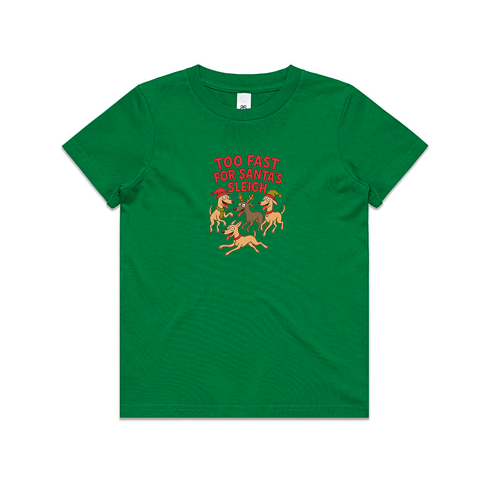 AS Colour Staple Kids T-Shirt Too Fast For Santa's Sleigh