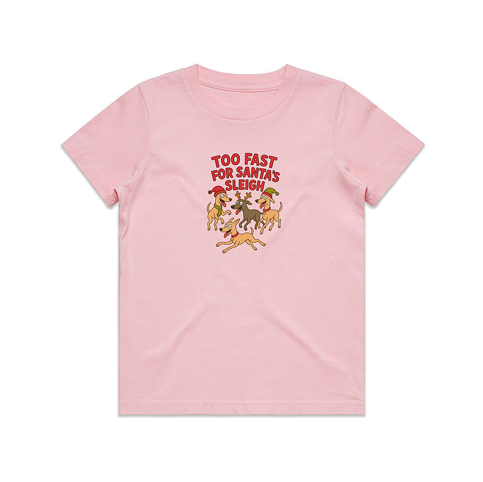 AS Colour Staple Kids T-Shirt Too Fast For Santa's Sleigh