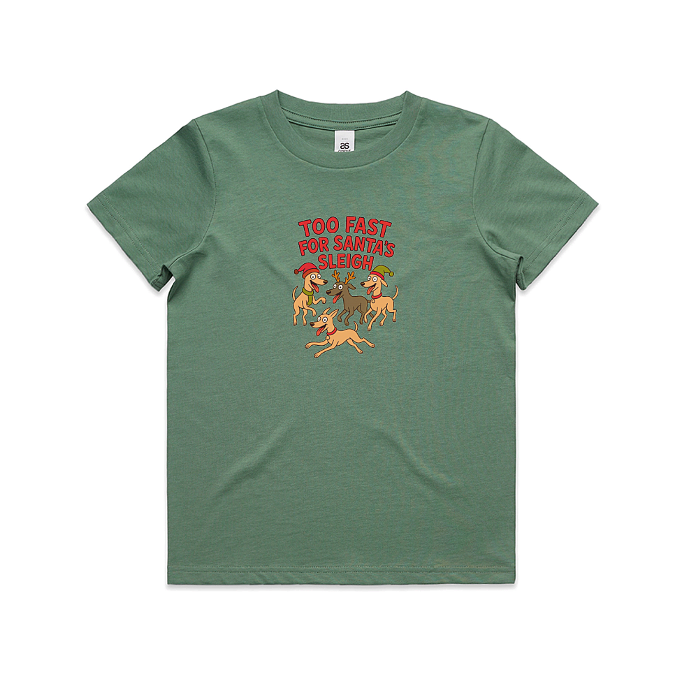 AS Colour Staple Kids T-Shirt Too Fast For Santa's Sleigh