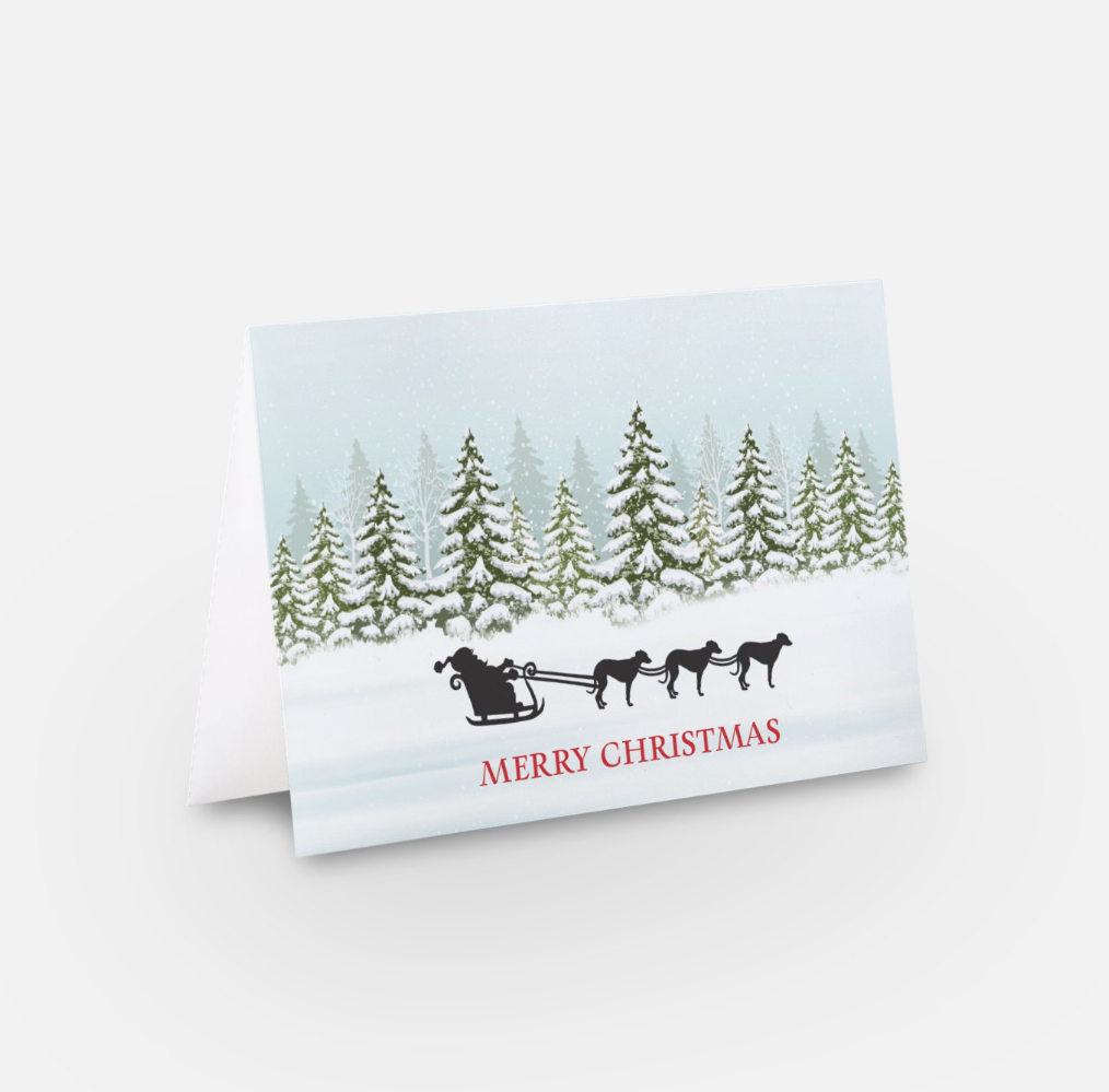 Greyhound Sleigh Christmas Card