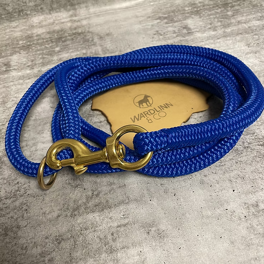 Blue Lead