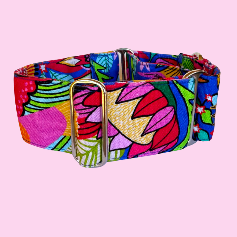 Parrot Punch Martingale Greyhound 2 Inch Collar