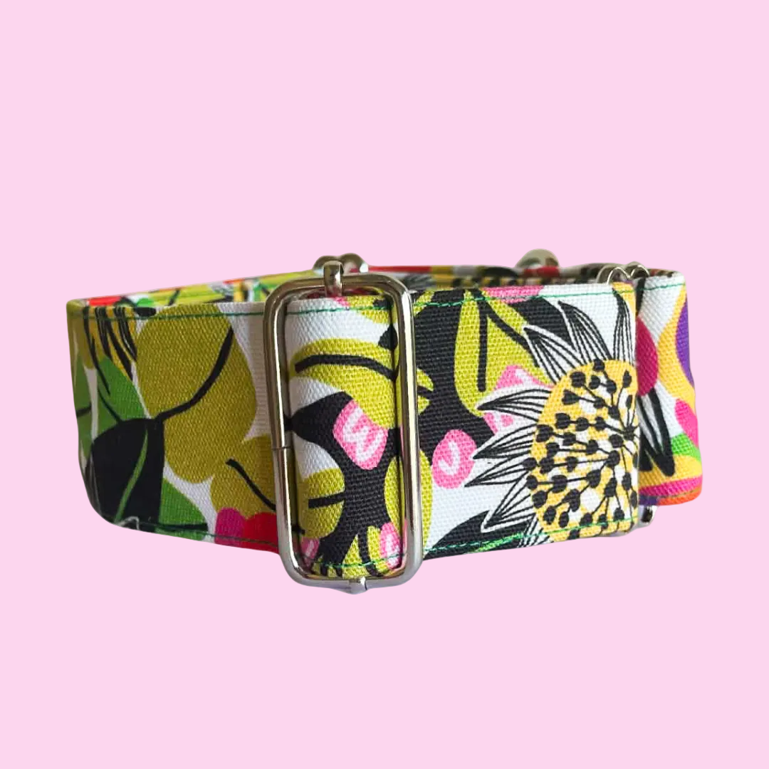 Martingale Greyhound Collar, Wide Adjustable Dog Collar 1.5 Inch, 2 Inch  - Kirsten Katz Bouquet
