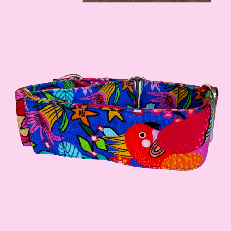 Parrot Punch Martingale Greyhound 2 Inch Collar