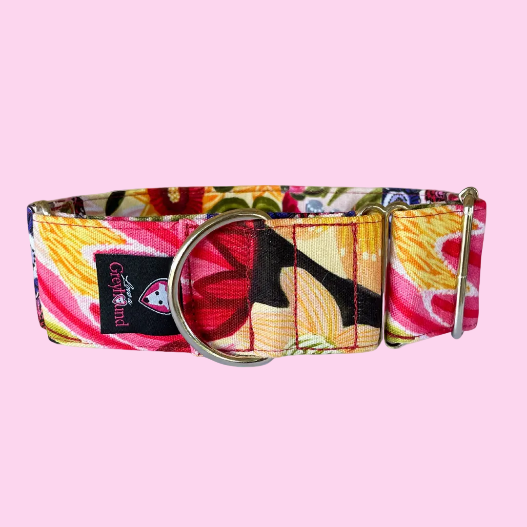 Martingale Greyhound Collar, Wide Adjustable Dog Collar 1.5 Inch, 2 Inch  - Kirsten Katz Garden Patch
