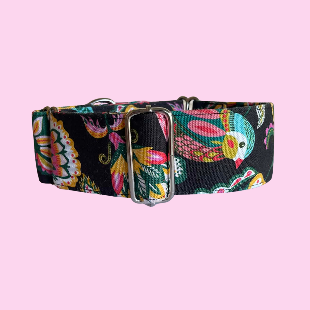 Martingale Greyhound Collar, Wide Adjustable Dog Collar 1.5 Inch, 2 Inch  - Kirsten Katz Jewelled Birds
