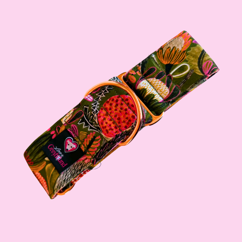 Banksia Bloom Martingale Greyhound 2 Inch Collar