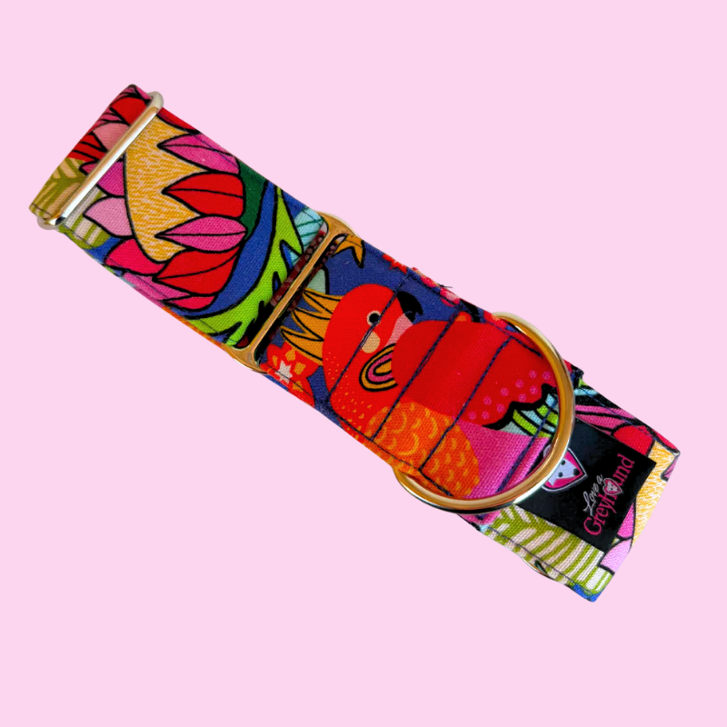 Parrot Punch Martingale Greyhound 2 Inch Collar