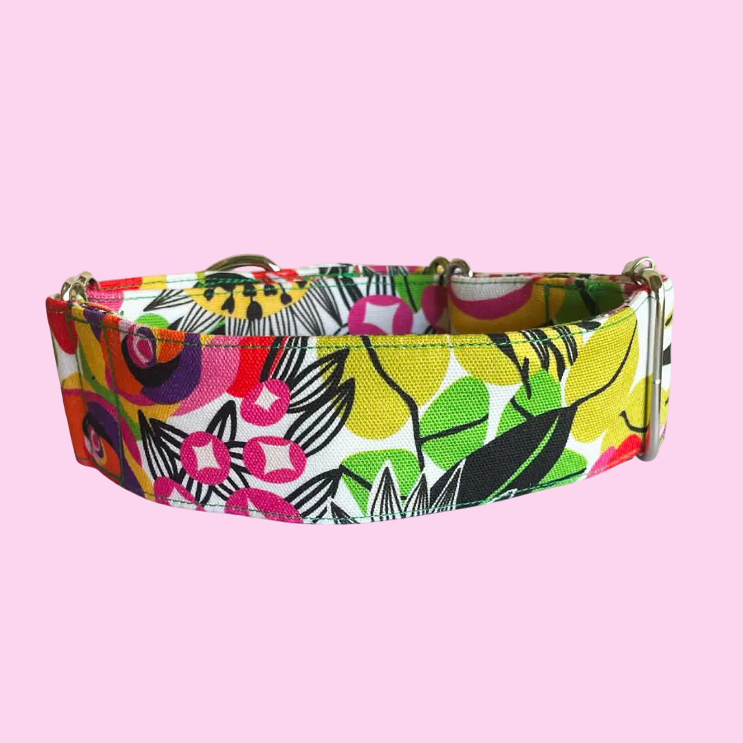 Martingale Greyhound Collar, Wide Adjustable Dog Collar 1.5 Inch, 2 Inch  - Kirsten Katz Bouquet