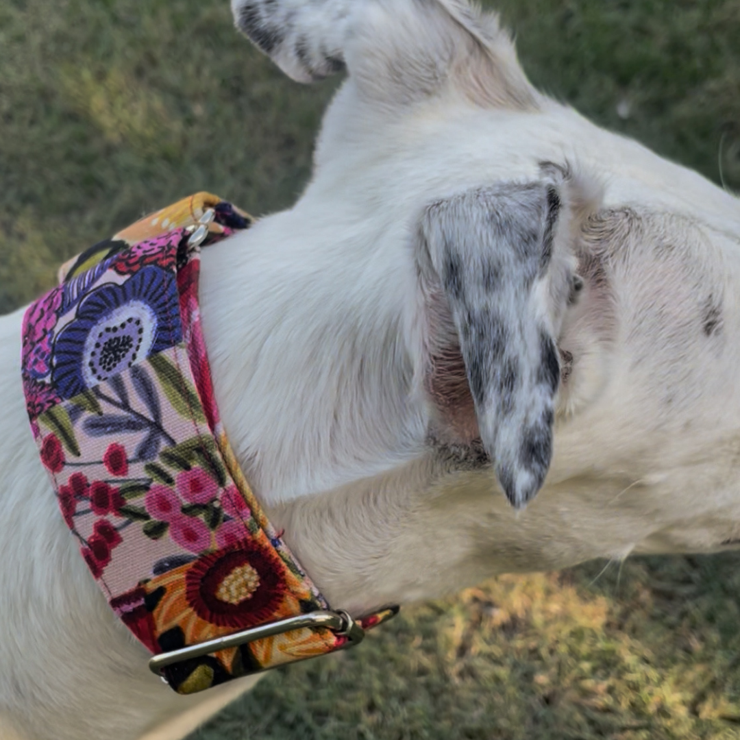 Martingale Greyhound Collar, Wide Adjustable Dog Collar 1.5 Inch, 2 Inch  - Kirsten Katz Garden Patch