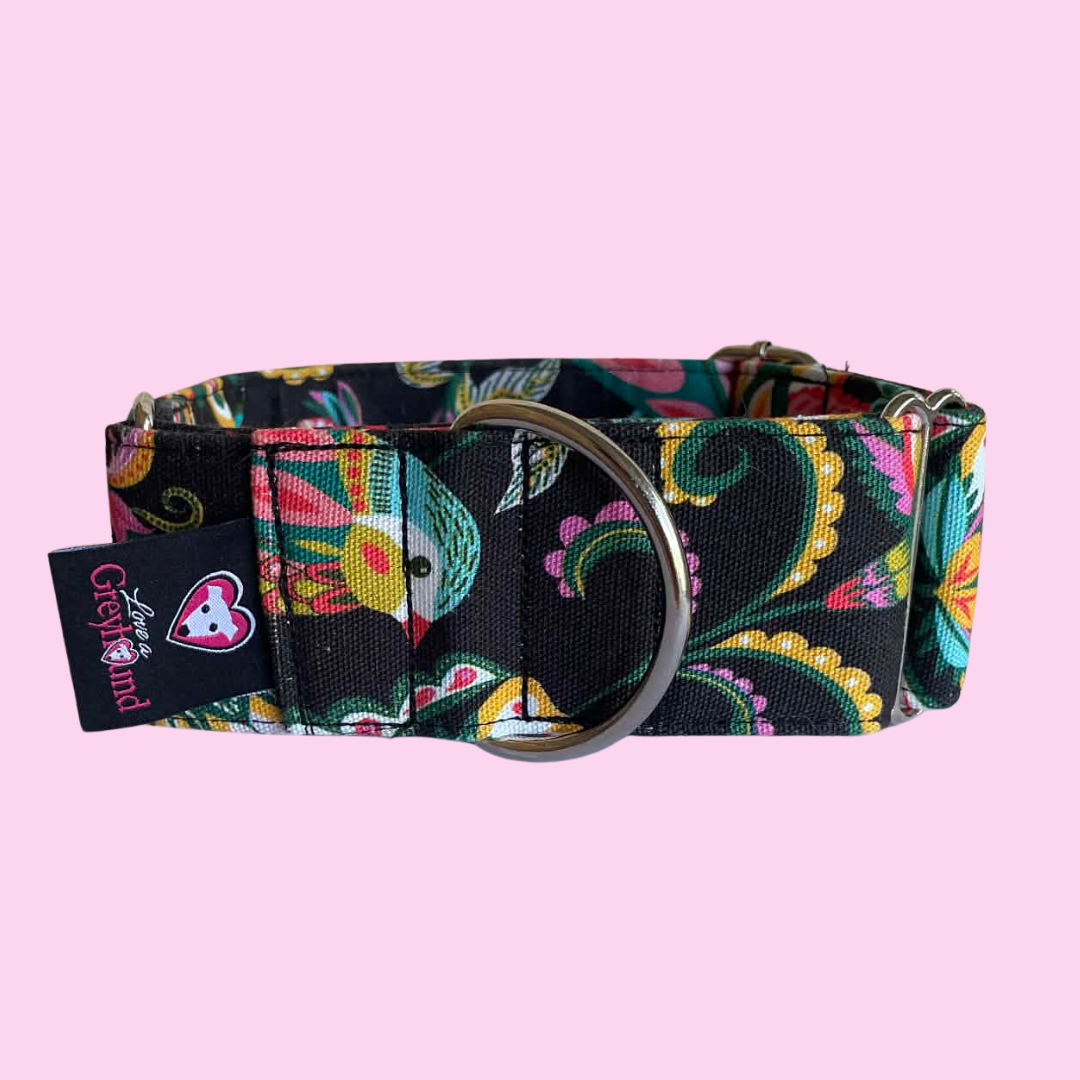 Martingale Greyhound Collar, Wide Adjustable Dog Collar 1.5 Inch, 2 Inch  - Kirsten Katz Jewelled Birds