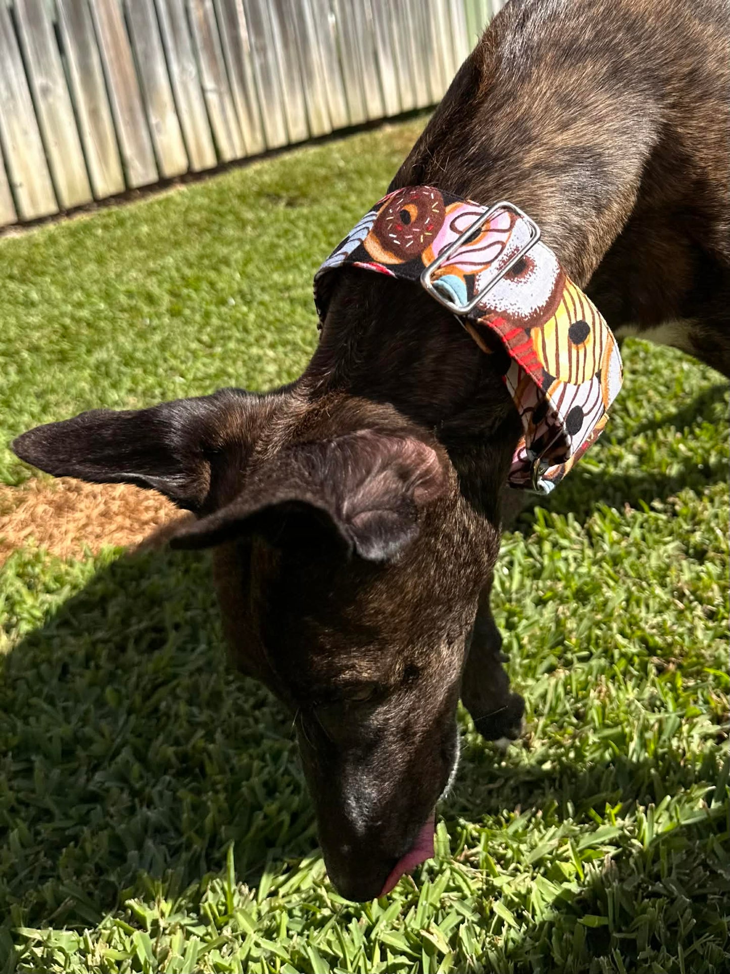 Martingale Greyhound Collar, Wide Adjustable Dog Collar 1.5 Inch, 2 Inch  - Iced Donuts