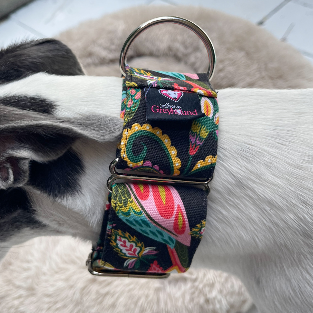 Martingale Greyhound Collar, Wide Adjustable Dog Collar 1.5 Inch, 2 Inch  - Kirsten Katz Jewelled Birds