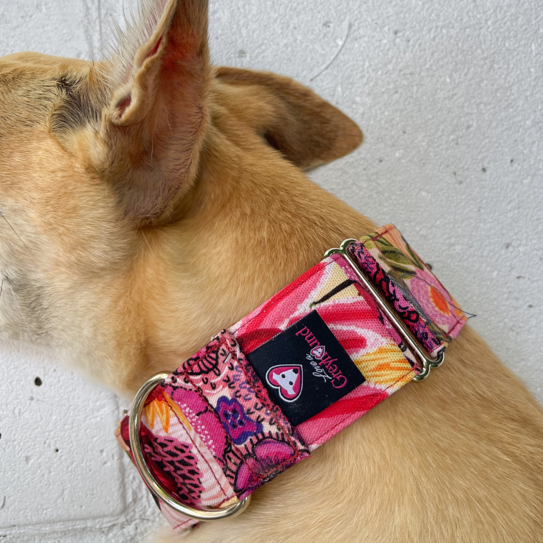 Martingale Greyhound Collar, Wide Adjustable Dog Collar 1.5 Inch, 2 Inch  - Kirsten Katz Garden Patch