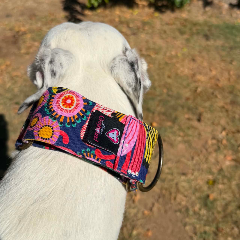 Psychedelic Petals Martingale Greyhound 2 Inch Collar