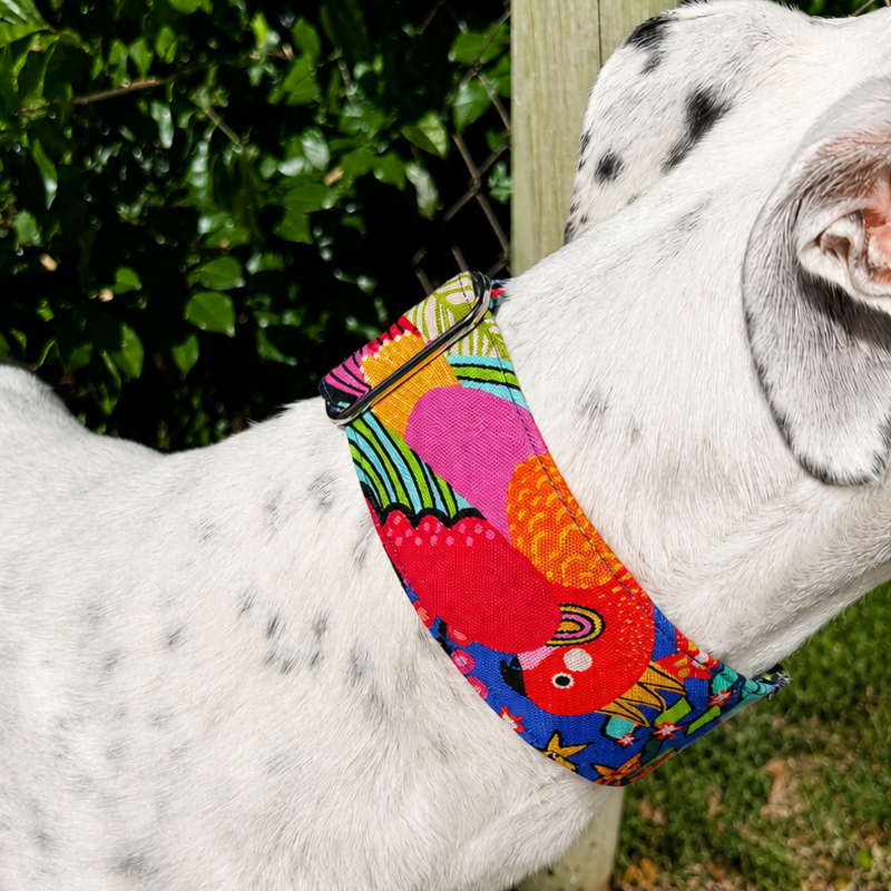 Parrot Punch Martingale Greyhound 2 Inch Collar