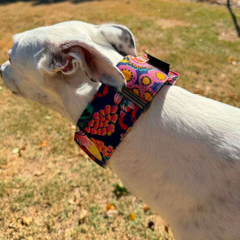 Psychedelic Petals Martingale Greyhound 2 Inch Collar