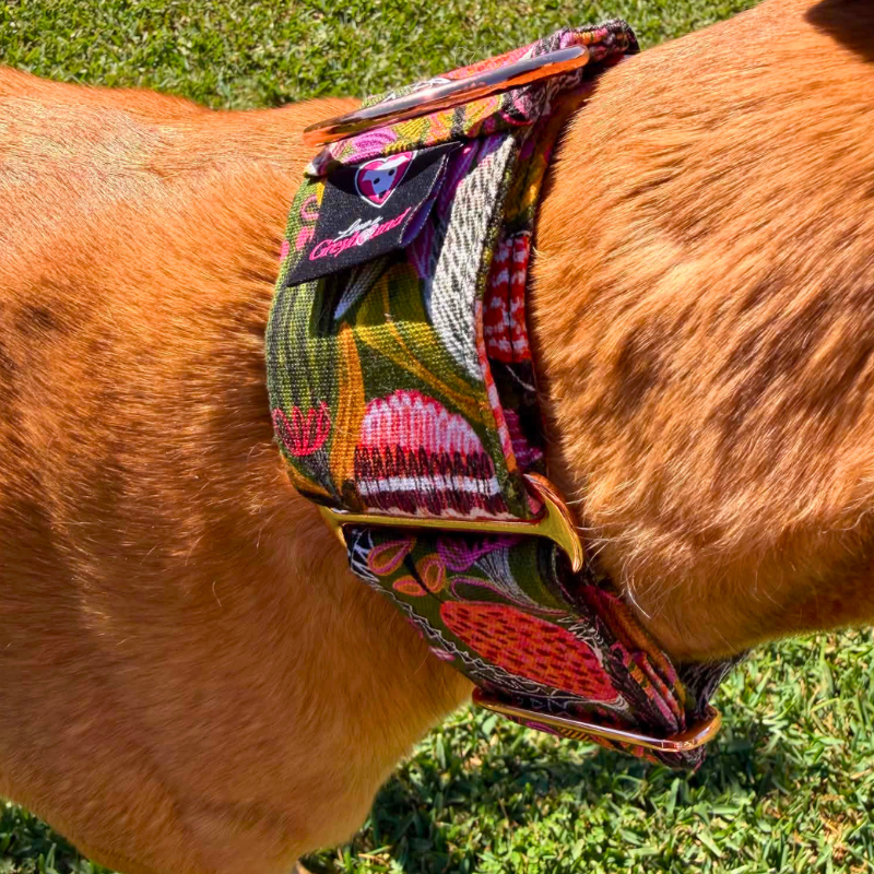 Banksia Bloom Martingale Greyhound 2 Inch Collar