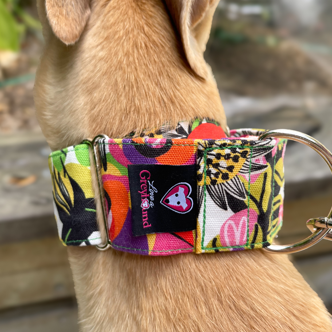 Martingale Greyhound Collar, Wide Adjustable Dog Collar 1.5 Inch, 2 Inch  - Kirsten Katz Bouquet