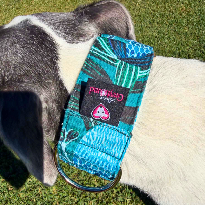Ocean Bloom Martingale Greyhound 2 Inch Collar