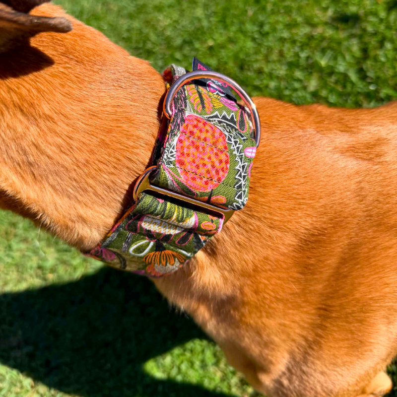 Banksia Bloom Martingale Greyhound 2 Inch Collar