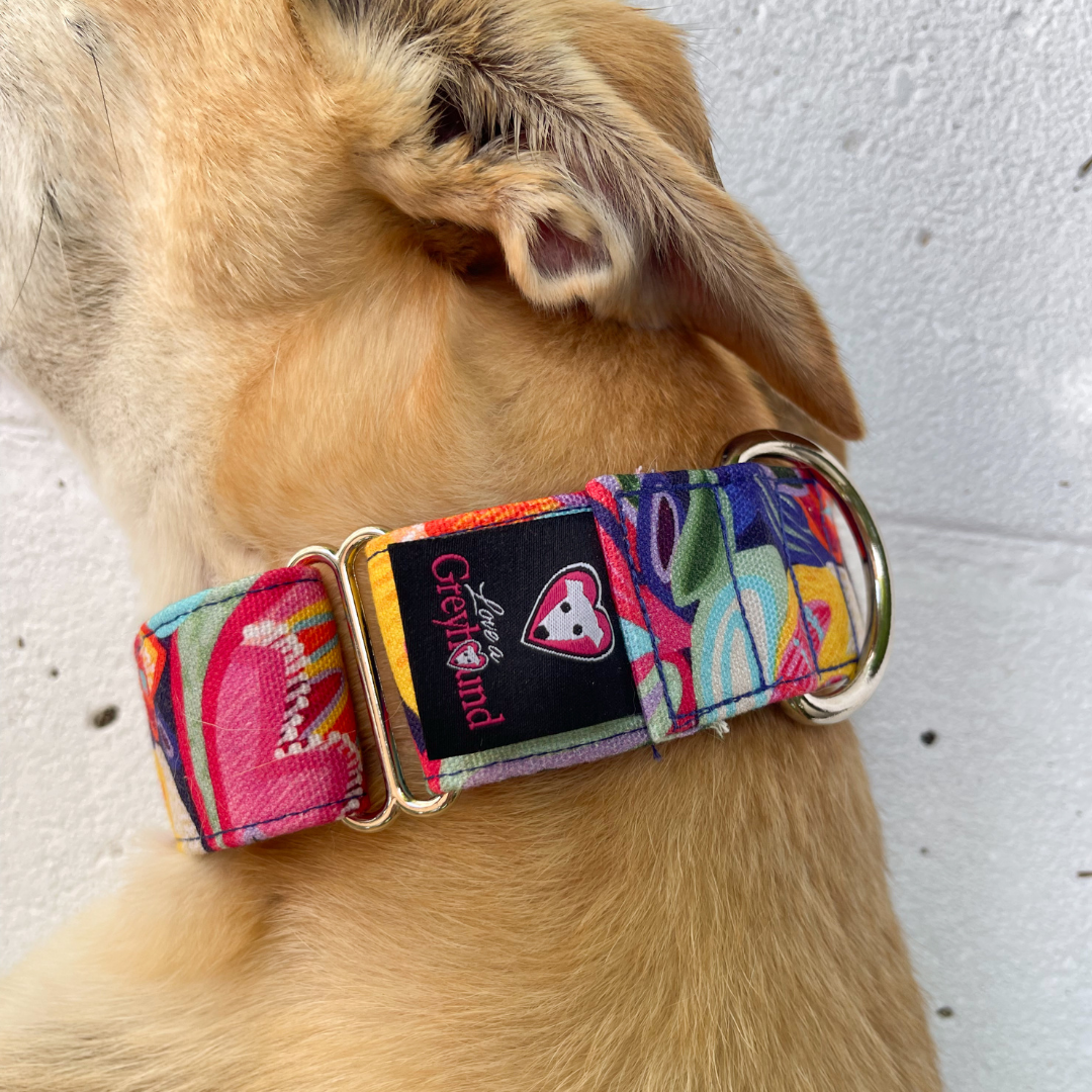 Martingale Greyhound Collar, Wide Adjustable Dog Collar 1.5 Inch, 2 Inch  - Kirsten Katz Carnival